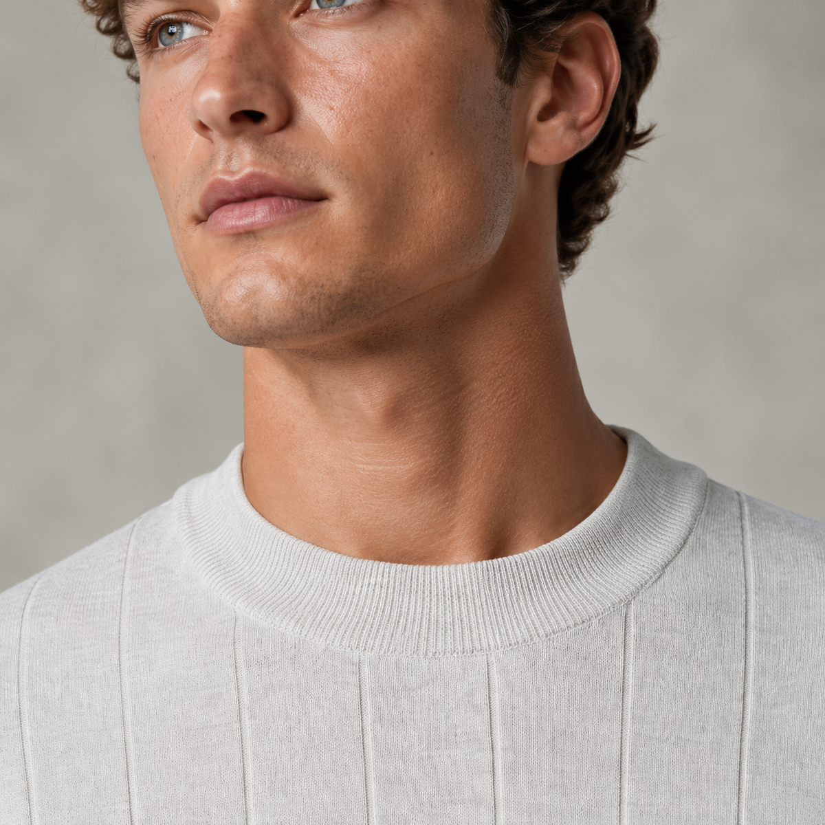 Men's 100% Cotton Striped Crew Neck T-Shirt