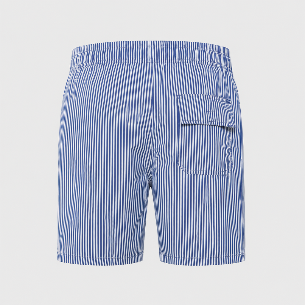 Men's Striped Quick-Dry Swim Shorts