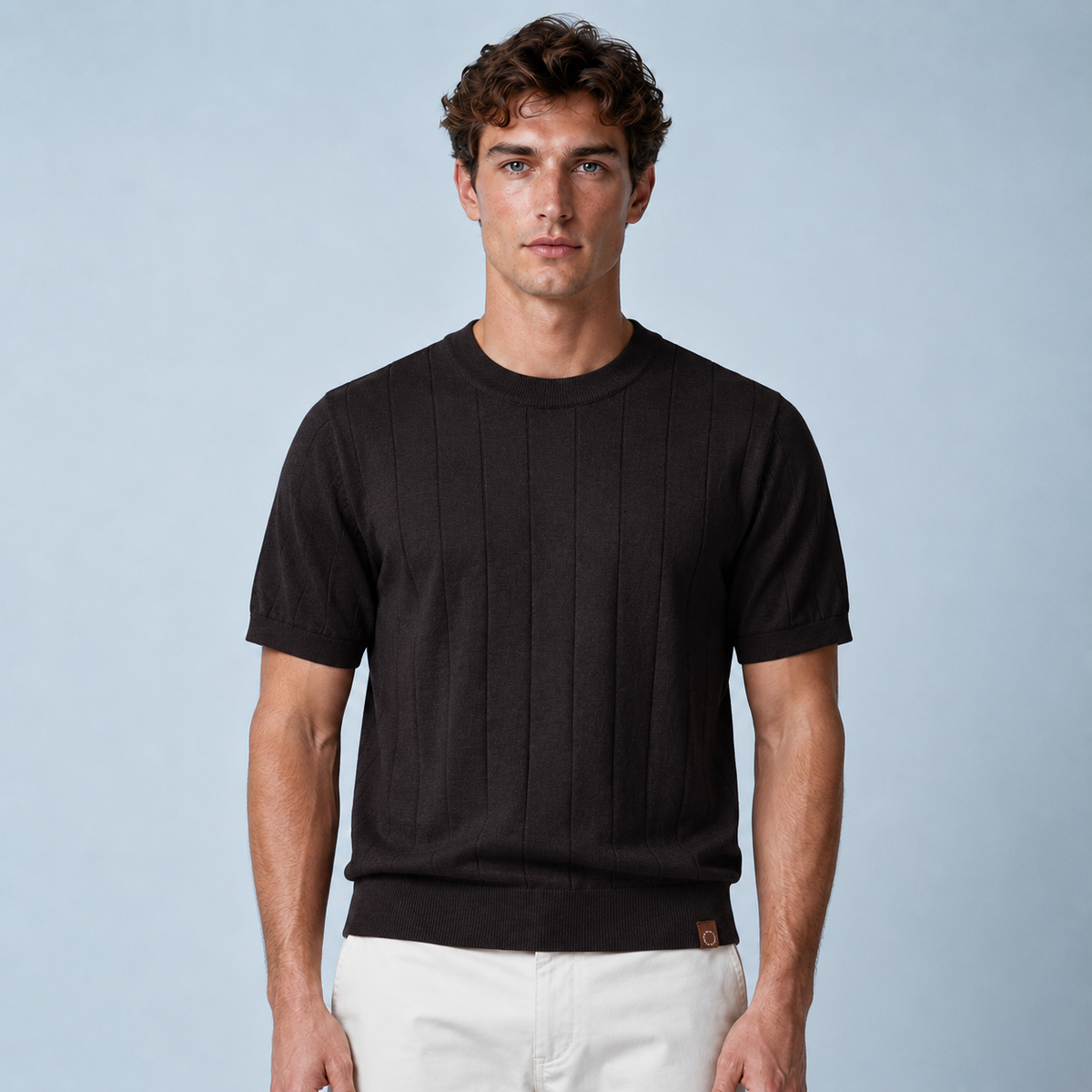 Men's 100% Cotton Striped Crew Neck T-Shirt Black Canvas